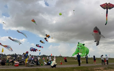 Giant shark kite steals show at border-area contest in southern Vietnam