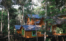 Mang Den Treehouse in central Vietnam nominated for 2026 Best Tourism Villages award