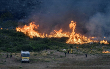 Western Europe experienced hottest June-July on record: EU monitor