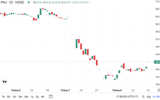 Vietnamese jeweler PNJ shares hit ceiling after diamond smuggling case update