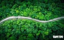 Vietnam’s carbon market takes shape, but real test lies beyond trading