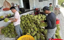 Vietnam, India seek to expand agricultural trade