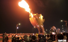 Da Nang's Dragon Bridge to stage six consecutive fire shows for National Day