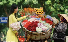 Hanoi builds four-season tourism appeal
