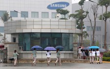 Lost in translation: How Chinese, Korean, and Japanese bosses adapt in Vietnam