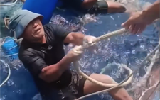 Vietnamese crew to be honored after risking all to rescue 32 stranded fishermen at sea