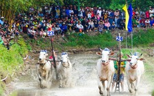 Thousands flock to traditional ox race, floating market festival in Vietnam’s Mekong Delta