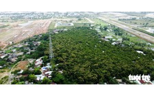Da Nang to invest over $15mn in infrastructure for sacred forest site
