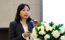 Vietnam's platform workers earn decent incomes but face long hours, social safety net gaps: World Bank