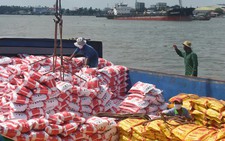 Vietnamese exports face tougher challenges in EU market