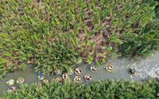 Hoi An to launch new tour at Cam Thanh Coconut Forest