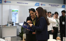 Vietnamese firms take brands global through Amazon, Alibaba