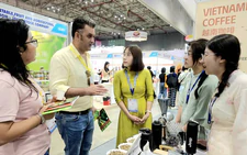 Vietnam’s cashews, civet coffee and frozen banh mi catch international buyers’ eye