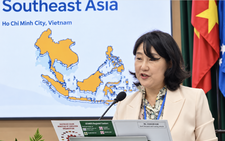 UNESCO expert urges Vietnam to give students more time for deep learning, less testing