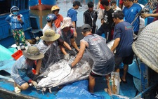 ​​​Vietnam likely to see EU ‘yellow card’ on seafood lifted in May: minister