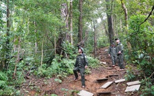 Vietnam will likely pilot carbon credit market by 2025: ministry