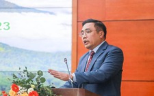 Vietnam earns $51.5mn from first forest carbon credit sale