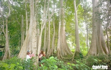 Deputy minister proposes establishment of Vietnam’s national carbon credit exchange