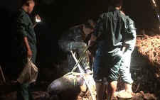 Ho Chi Minh City military forces defuse 350kg wartime bomb