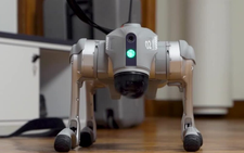 Robot dog learns, adapts like humans, Swedish AI startup IntuiCell says