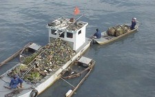 Xây dựng hồ chống ngập nước