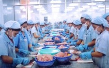 Bà Rịa-Vũng Tàu: Số DN chế biến hải sản tăng mạnh