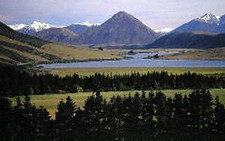 Kinh tế New Zealand khởi sắc nhờ 