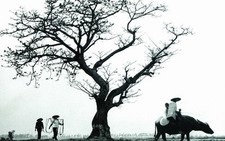 Không có ngày trở về