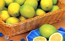 Nước cốt chanh ngừa thai và diệt HIV