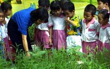 Giảm cường độ lao động cho giáo viên mầm non