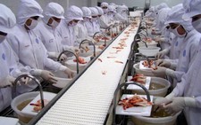 Indonesia bỏ ngỏ thị trường xuất khẩu tôm vào Nhật