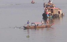 Long An: cá lạ xuất hiện