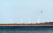 Gotland: Hòn đảo năng lượng sạch