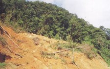 Sạt lở nặng trên Quốc lộ 14D