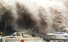 Nhật: Bão nhiệt đới Tokage làm thiệt mạng 31 người
