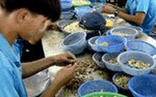 Trung tâm cai nghiện ma tuý Bình Đức mở lớp dạy chữ, dạy nghề cho học viên