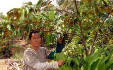 Cà Mau: lễ hội kỷ niệm 50 năm chuyến tàu tập kết ra Bắc