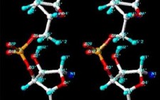 Sử dụng kỹ thuật RNA để chữa bệnh ung thư vú
