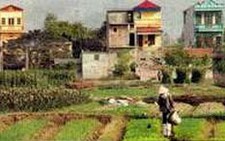GS-TS-KTS Hoàng Đạo Kính: Cần quan tâm kiến trúc nông thôn