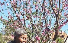Xóa sổ 