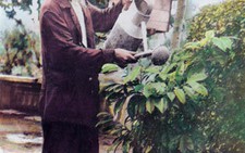 Ai gửi tặng Bác Hồ 