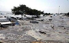 Nhiều biến đổi khí hậu bất thường trong thế kỷ XX