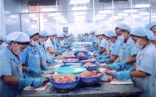 Cá ngừ và tôm nguyên liệu tăng giá