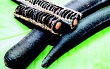 Vị thuốc từ cây ô môi