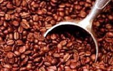 VN có thể phải nhập cà phê?