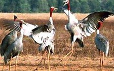 Đi 80 tour với Saigontourist
