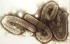 Vaccine ngừa virus Ebola