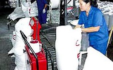Sẽ dừng nhập khẩu đường?