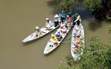 Xuồng ba lá với Gáo Giồng mùa nước nổi...