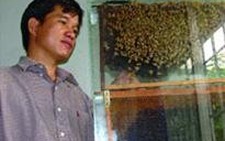 Khiêu vũ với bầy ong